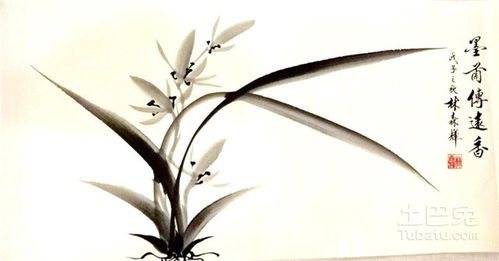 關(guān)于竹子的詩句簡單的