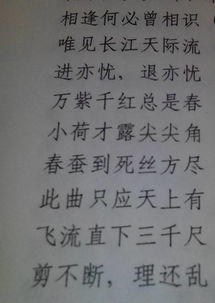關于鹽的詩句和成語