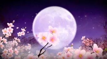 古詩中描寫思念家鄉(xiāng)親人的詩句