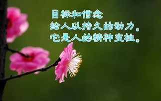 陽光向上的古詩簡(jiǎn)短,古詩勵(lì)志的句子致自己簡(jiǎn)短,古詩座右銘勵(lì)志簡(jiǎn)短