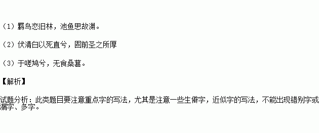 詩(shī)句,向往,內(nèi)心,自由