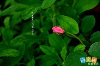 描寫雨景的古詩(shī)句合集