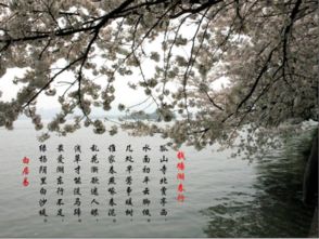 關(guān)于四時(shí)之景的古詩句