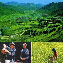 描寫(xiě)田園風(fēng)光的詩(shī)句有哪些?,山水田園風(fēng)光的詩(shī)句有哪些,鄉(xiāng)村田園風(fēng)光的詩(shī)句有哪些