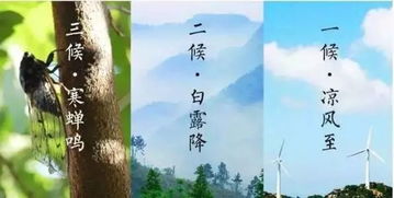 關于立秋喝酒的詩句
