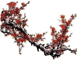 關(guān)于有梅花的詩句凌寒獨(dú)自開
