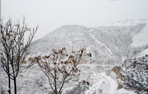 關(guān)于雪的原創(chuàng)詩句