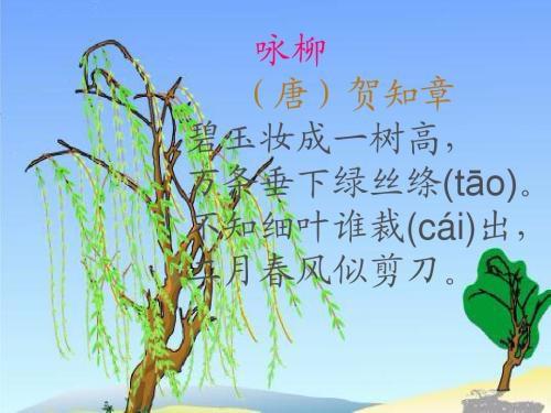 詠柳古詩贊美柳樹的句子,古詩詠柳古詩,古詩詠柳古詩帶拼音