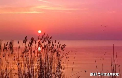 詩句,江水,夕陽