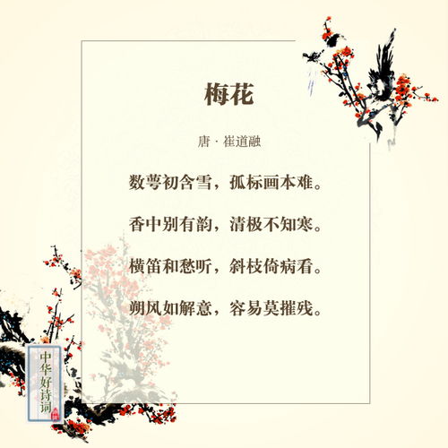 關(guān)于梅花的成語與詩句