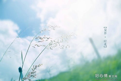 感嘆時(shí)間流逝的古詩句有哪些
