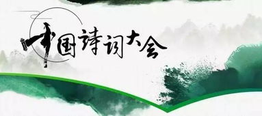 中國(guó)古詩(shī)詞大會(huì)嘉賓引用的詩(shī)句