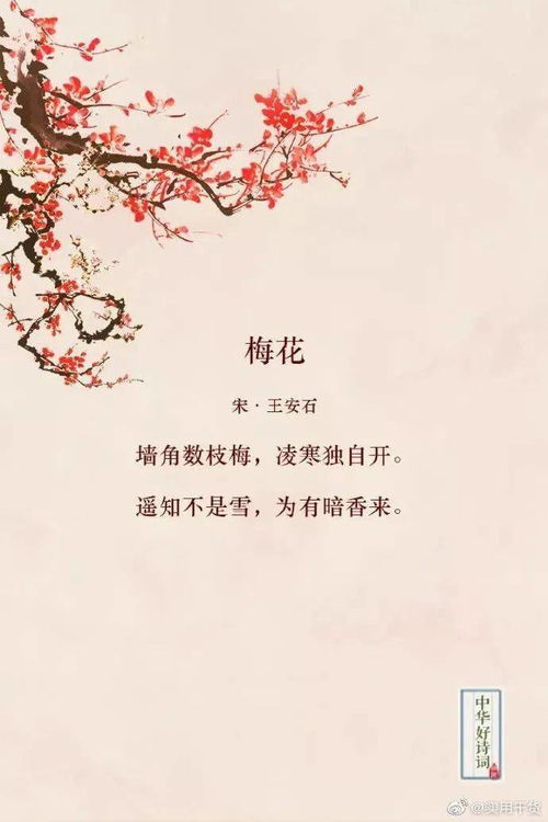 對(duì)關(guān)于喜歡花的詩句