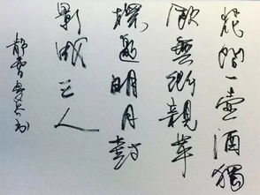 關于針線好的詩句