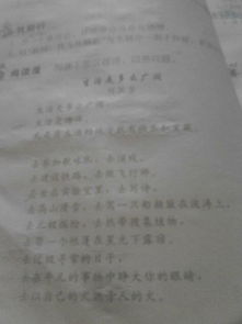 關于受教育的詩句
