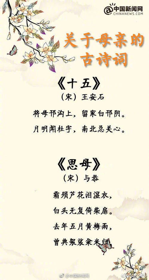 關(guān)于母愛的詩句是什么意思