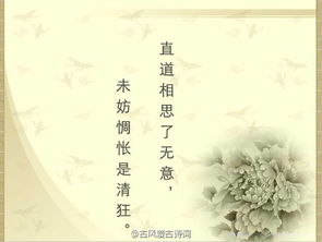 關(guān)于微笑的唯美古詩句