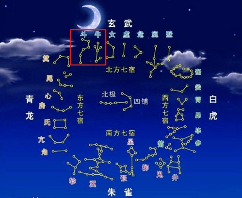 月亮,詩句,寫出,兩個(gè)