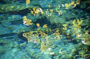 初夏美景古詩句