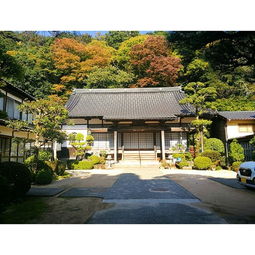 關(guān)于扶桑的愛情詩句