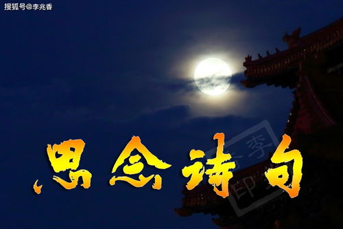 關于思念的詩句古詩帶意思