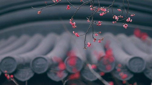 關(guān)于在困境時(shí)的古詩(shī)句