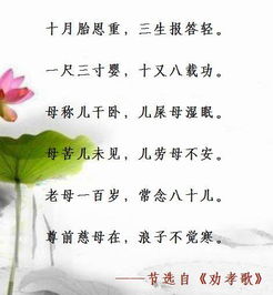 關(guān)于感恩孩子的詩句