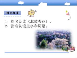 杏花,古詩(shī),詩(shī)句,小學(xué)