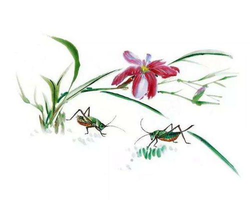 詩句,描寫,詩中,初中