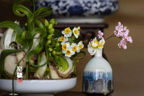 水仙古詩(shī)句子