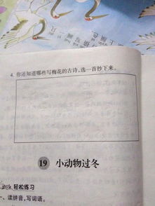 還知道g關(guān)于梅的詩句