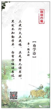勸學(xué),詩句,寫出,熟悉