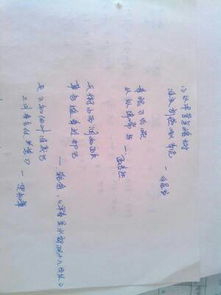 兩句,詩(shī)句,描寫,春天