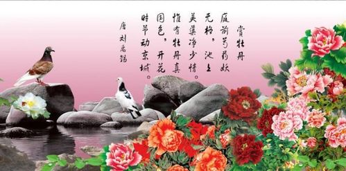 小學(xué)關(guān)于牡丹詩句古詩詞