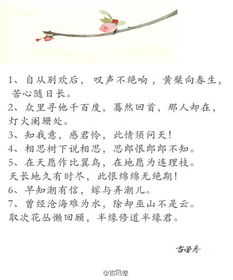 關(guān)于愛(ài)情慢慢來(lái)的詩(shī)句