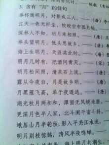描寫夏天的古詩句并造句