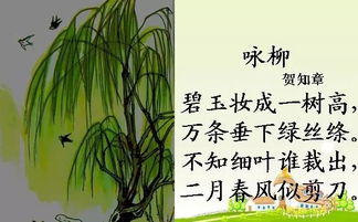 關(guān)于樹于人的詩句