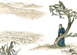 初中關于蟬的詩句古詩詞