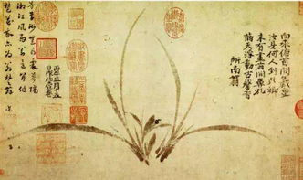 關于蘭的經(jīng)典詩句