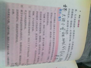 關于散步這篇課文的詩句