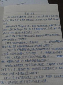 以母愛開頭的作文