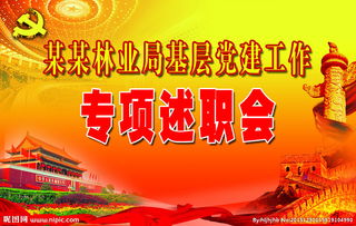抓黨建專項(xiàng)述職報(bào)告,黨建述職報(bào)告范文(抓黨建專項(xiàng)述職報(bào)告范文(2))