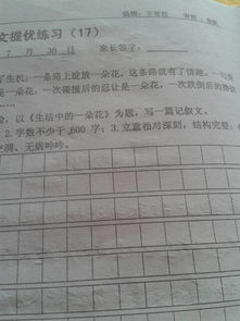 有關我生活中一朵花的作文開頭