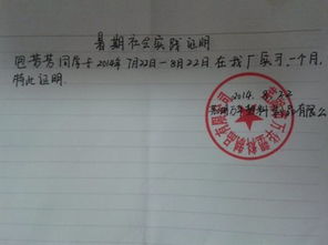 暑期船廠實(shí)踐報告(個人暑期實(shí)踐報告)