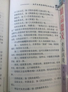心靈手巧的奶奶初中作文開(kāi)頭