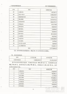 公司財務審計報告(公司財務收支審計報告)