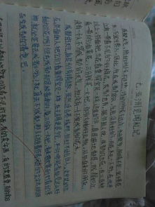 初中生寫人作文開頭好句摘抄加賞析