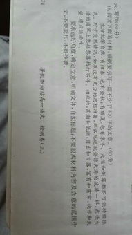 十五，十六作文800字(十五月亮十六圓 )