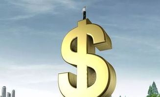 擁抱陽(yáng)光作文開(kāi)頭