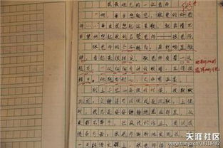 五級關(guān)于父母抒情作文開頭結(jié)尾